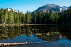 Landscapes
