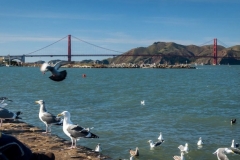Golden Gate Bridge