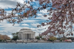 Blooming Memorial