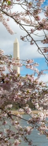 Cherry Monument